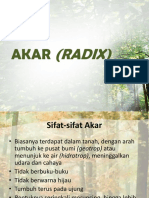 Pertemuan 6 (Akar) PDF