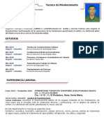 Hoja de Vida Carlos Rojano PDF