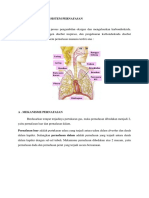 Anatomi Fisiologi Sistem Pernafasan