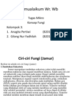 Fungi Panjang