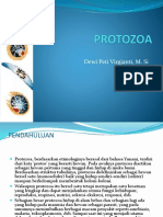 Protozoa - 1
