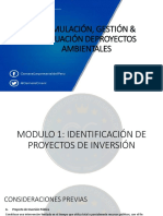 Módulo 1_Identificación de Proyectos de Inversión (1)