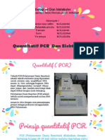 Q-PCR Dan Elektroforesis