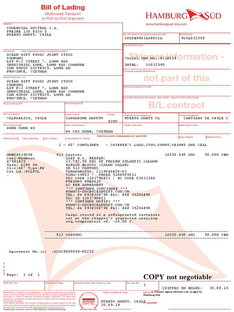 Bl Pdf Cargo Bill Of Lading