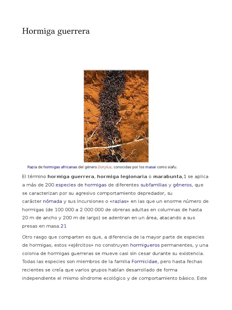 Hormigas Guerreras: Características y Hábitos | PDF | Organismos ...