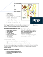 Renal Clase2