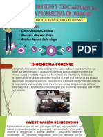 Exposicion Ingenieria Forense