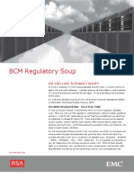 White Paper - BCM Regulatory Soup 01-2013