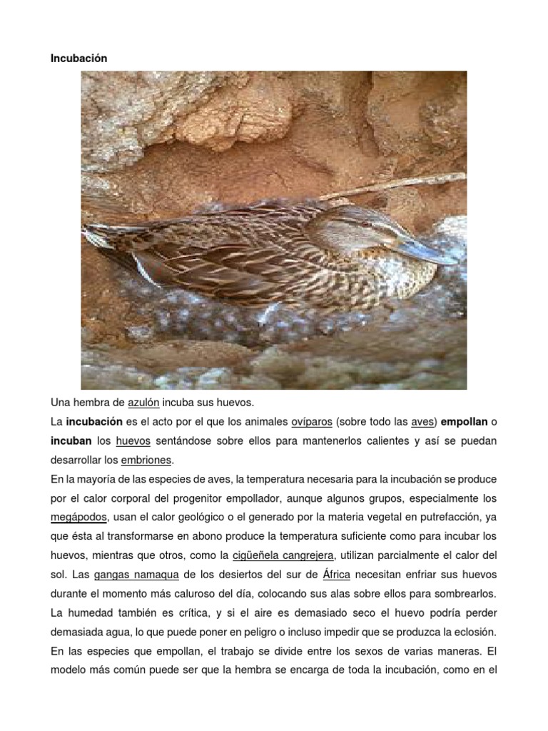 Animales en Incubacion | PDF | Aves | Organismos