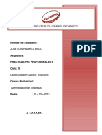 133217823-Trabajo-Practicas-Pre-profesionales.docx
