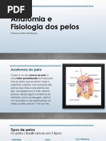 Anatomia e Fisiologia dos pelos.pptx