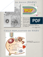 10-Polioma+Raiva+prions.pdf