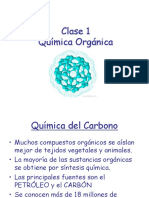 101184462-Clase-1-Quimica-Organica.pdf
