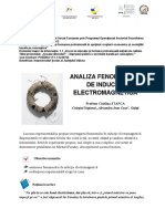 inductiaelectromagnetica_liceu.pdf