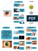 Leaflet Glaucoma