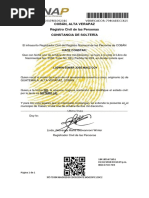 Ejemplo de Dpi Formato para Hacer | PDF