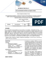 -Informe-5-y-9-Quimica-Ambiental-grupo-2 prin.docx