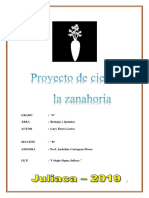 324358545-Proyecto-Feria-de-Ciencia-La-Zanahoria V G 2019.docx