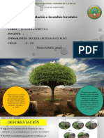 Diapositiva de Deforestacion PDF