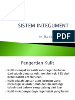 SISTEM INTEGUMENT.pptx