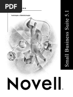 Resolução de Problemas do Servidor NetWare - Novell
