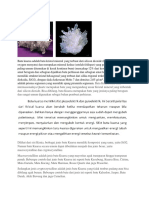 Batu Kuarsa Adalah Batu Kristal Mineral Yang Terbuat Dari Silicon Dioxide