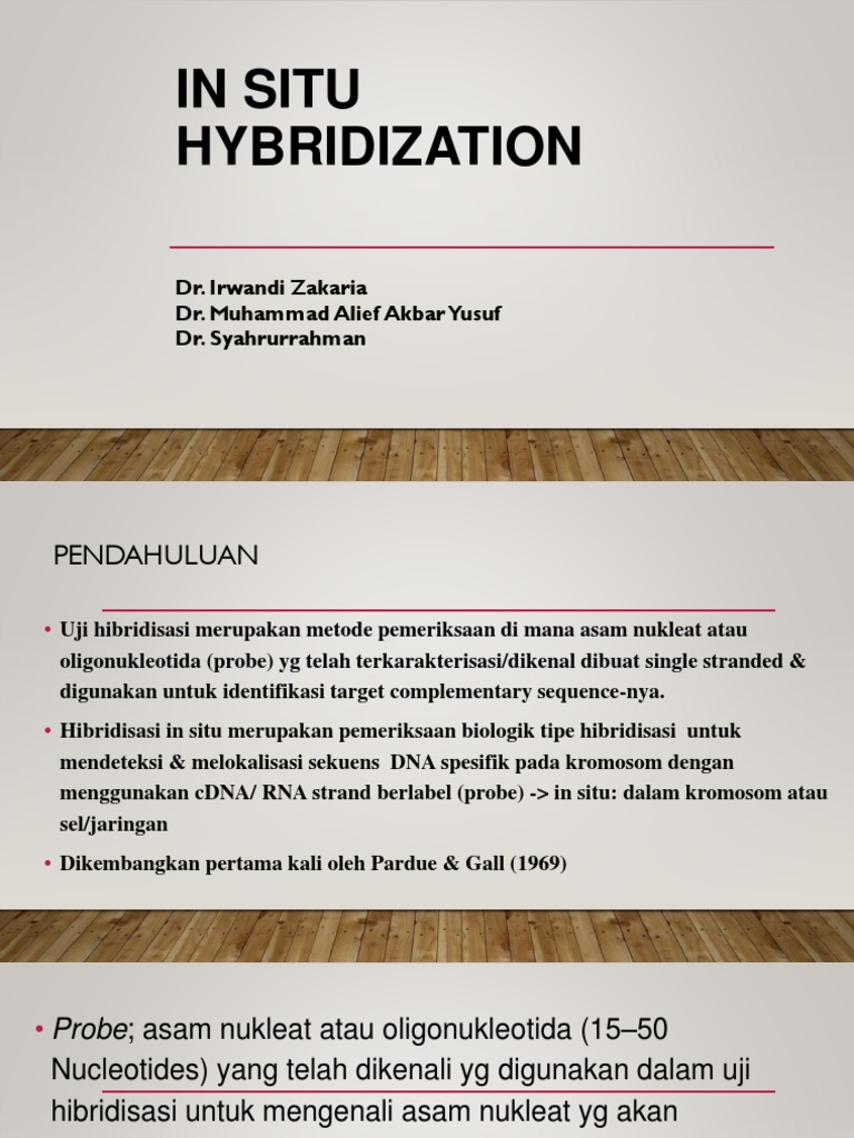 In Situ Hybridization | PDF