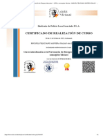 Curso Introducción A La Prevención de Riesgos Laborales I - LPRL y Conceptos Básicos - MIGUEL FELICIANO AGÜERA SALAS - 12 de Octubre de 2019