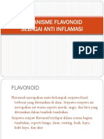 Flavanoid SBG Anti Inflamasi