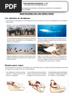 Adaptacion de Los Seres Vivos