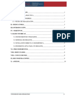 Informe Irrigaciones