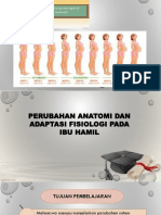 Adaptasi Fisiologi Pada Kehamilan