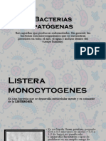 Bacterias Patógenas