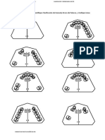 Formatos de Clasificacion y Biomecanica