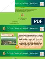 PPT