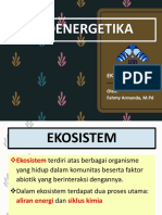 Ekoenergetika