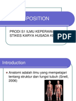 Anatomi Position