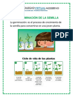 LA GERMINACIÓN DE LA SEMILLA S5 B4.pdf