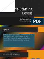 Safe Staffing Levels
