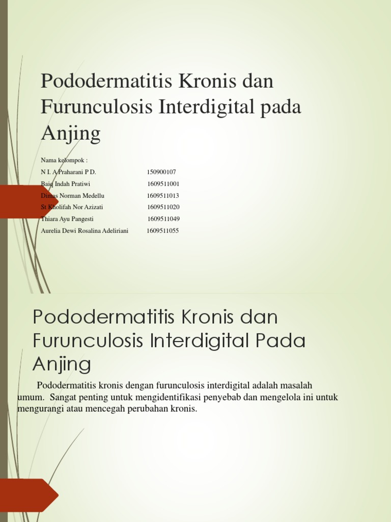 Pododermatitis Kronis pada Anjing | PDF