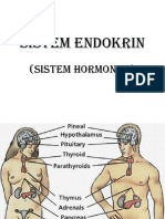 Sistem Endokrin..........