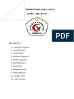 Anatomi Dan Fisiologi Manusia