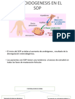 Esteroidogenesis en El Sop Repro