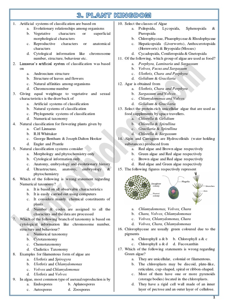 3-plant-kingdom-entrance-questions-and-answers-pdf-spore-branches