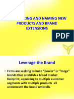 Brand Extentions.pptx