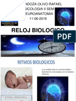 Reloj Biologico