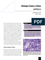 Dermato - Raskin - Mostra PDF