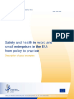 Safety and Health in Micro and Small Enterprises in The EU From Policy To Practice-Description of Good Examples