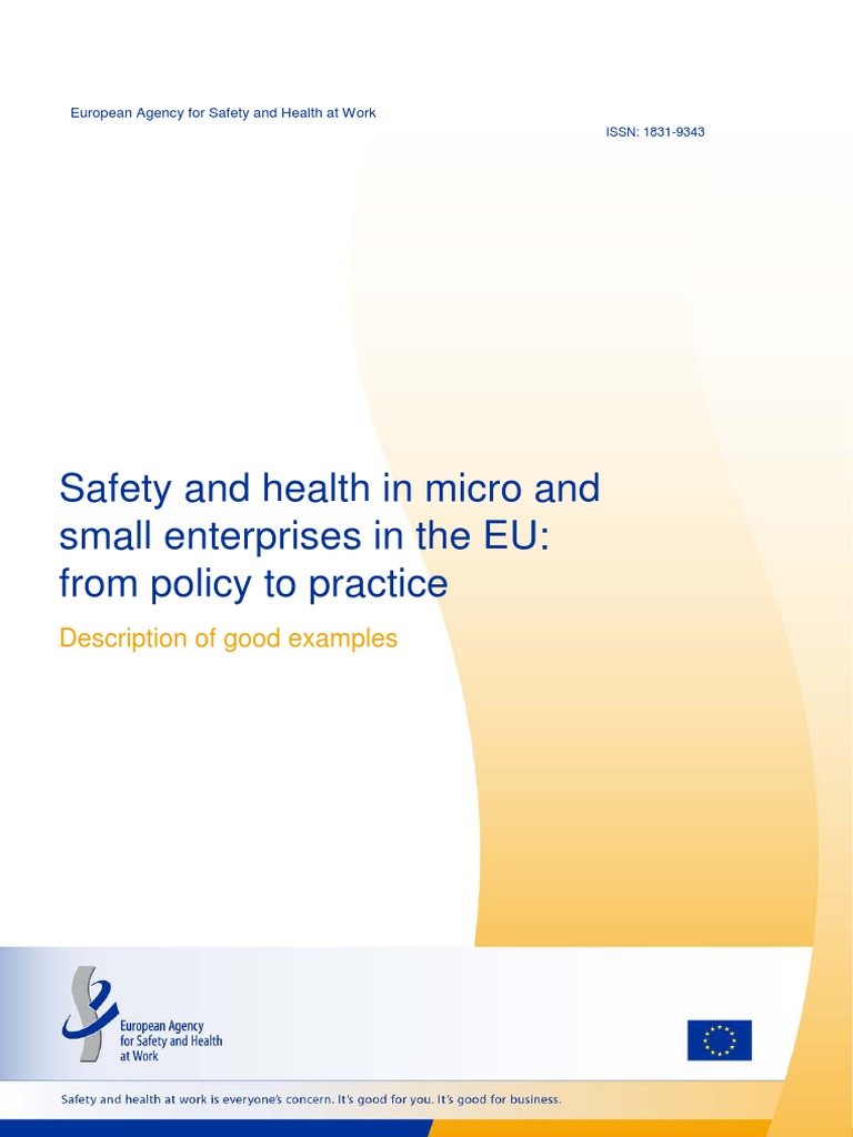 Safety and Health in Micro and Small Enterprises in The EU From For Health And Safety Policy Template For Small Business
