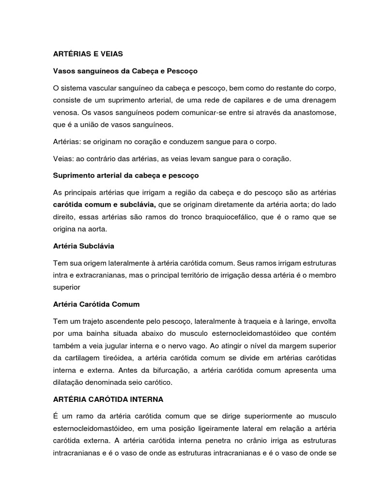 Artérias E Veias Cabeça E Pescoço Pdf Anatomia Humana Cabeça E